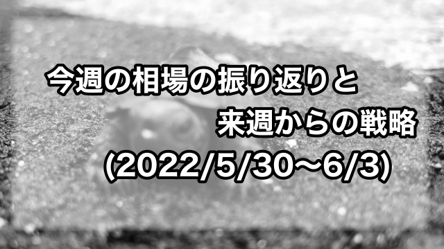 今週の相場の振り返り来週からの戦略について